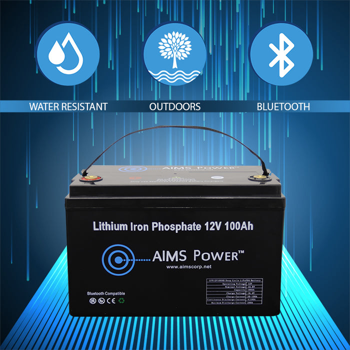 AIMS Power (LFP12V100B)