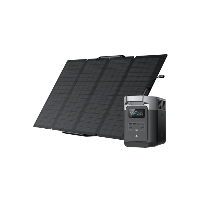 EcoFlow DELTA 2 + 160W Portable Solar Panel - 2 Panels (DELTA2-160W2)