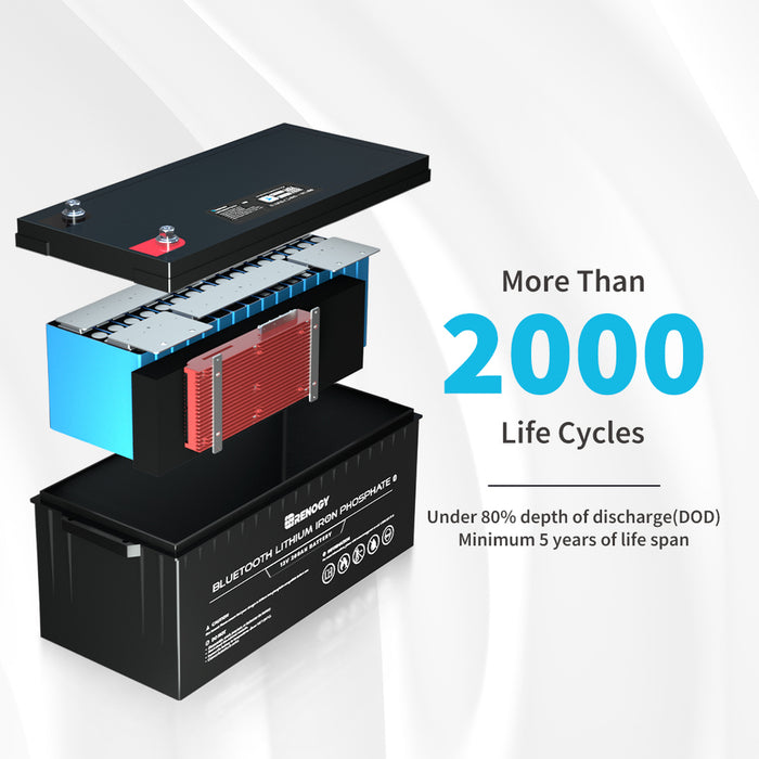 Renogy 12V 200Ah Lithium Iron Phosphate Battery w/ Bluetooth (RBT200LFP12-BT-US)